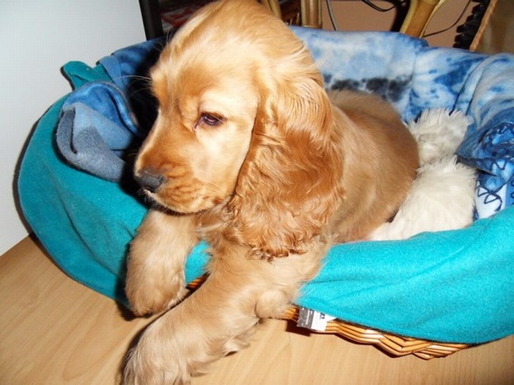 c3 Anny-3.2.2010.JPG